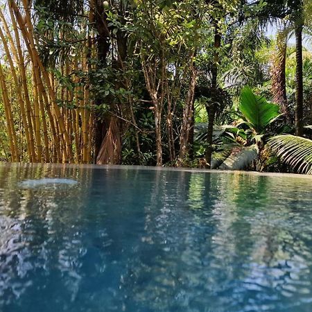 A Peace In Paradise Anse Royale Buitenkant foto