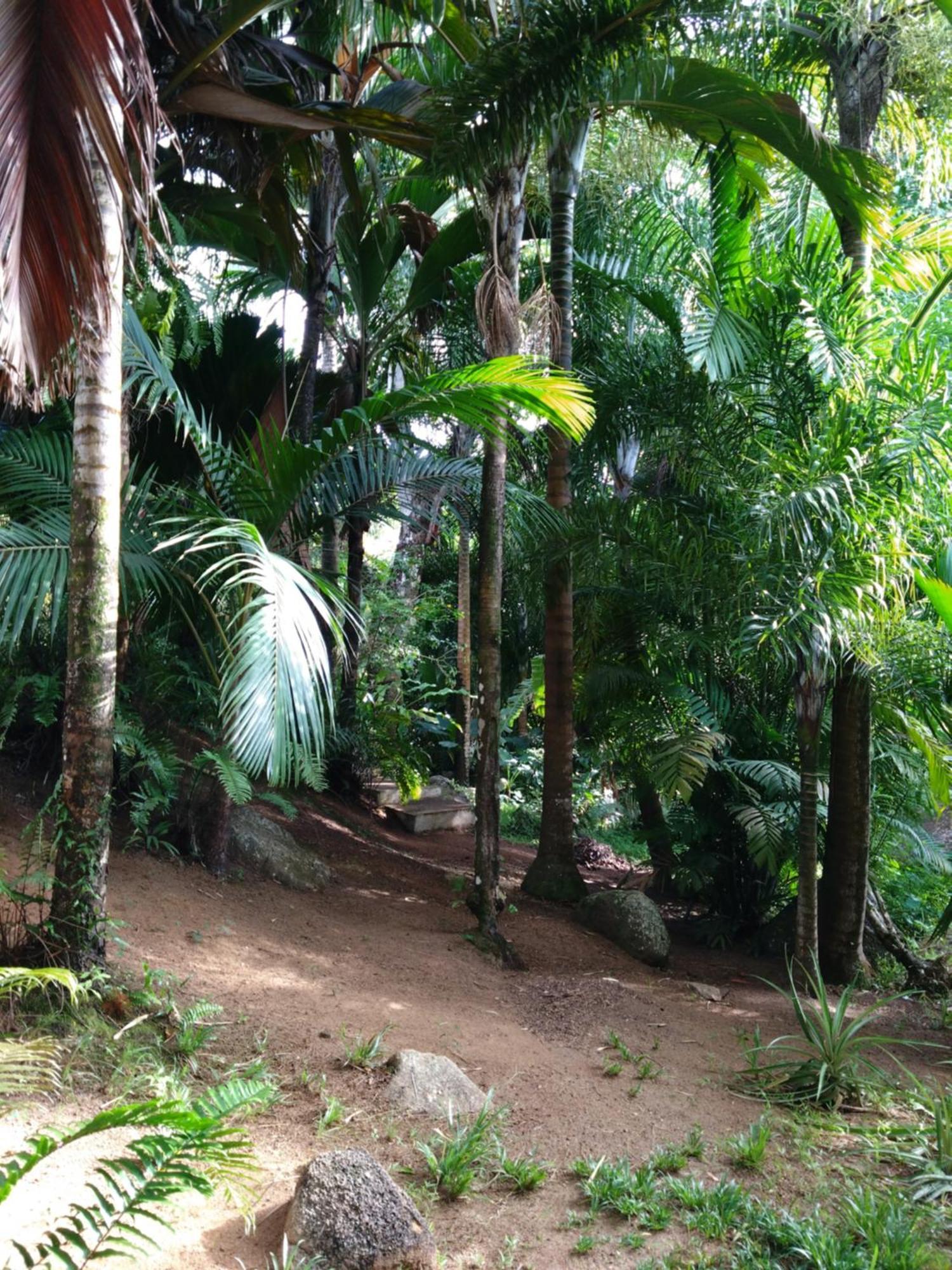 A Peace In Paradise Anse Royale Buitenkant foto