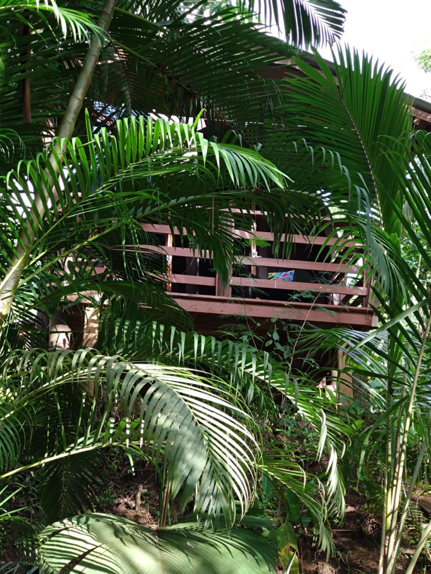 A Peace In Paradise Anse Royale Buitenkant foto