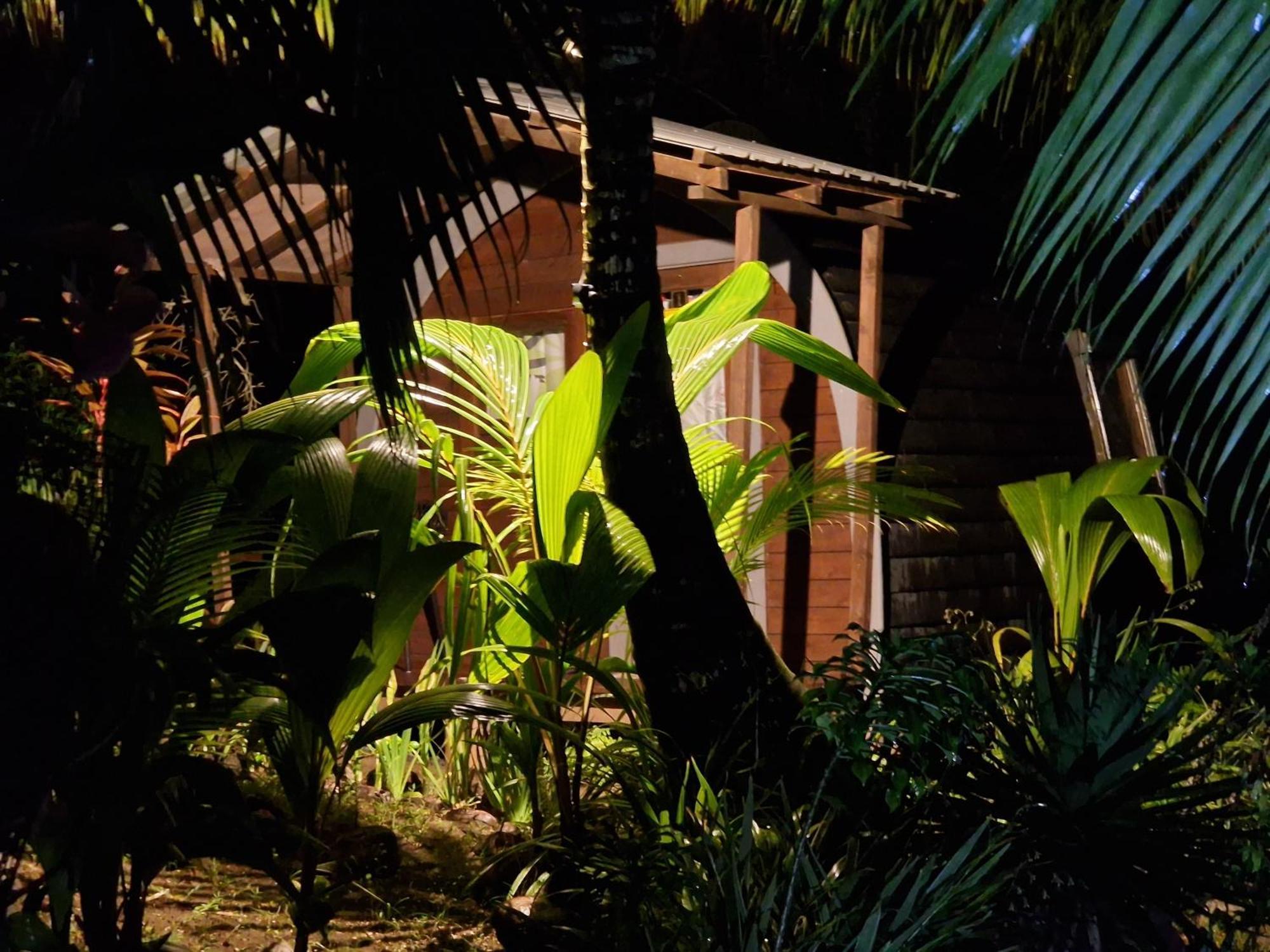 A Peace In Paradise Anse Royale Buitenkant foto