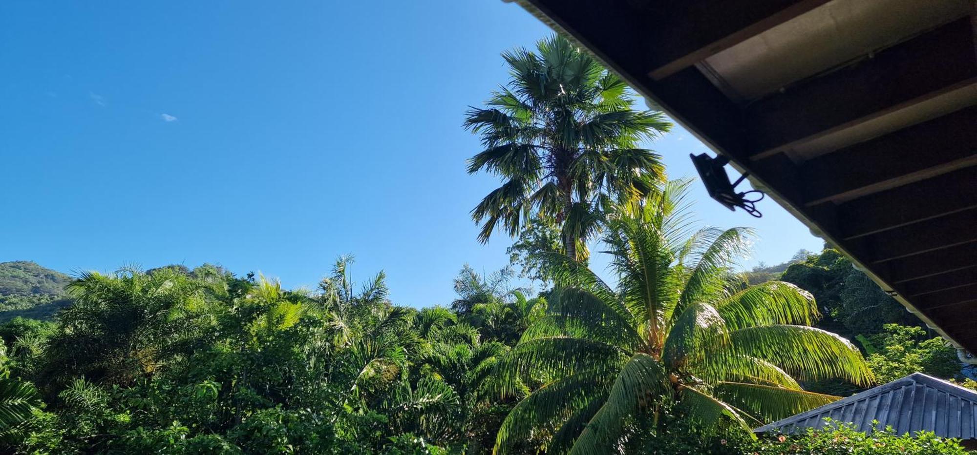 A Peace In Paradise Anse Royale Buitenkant foto