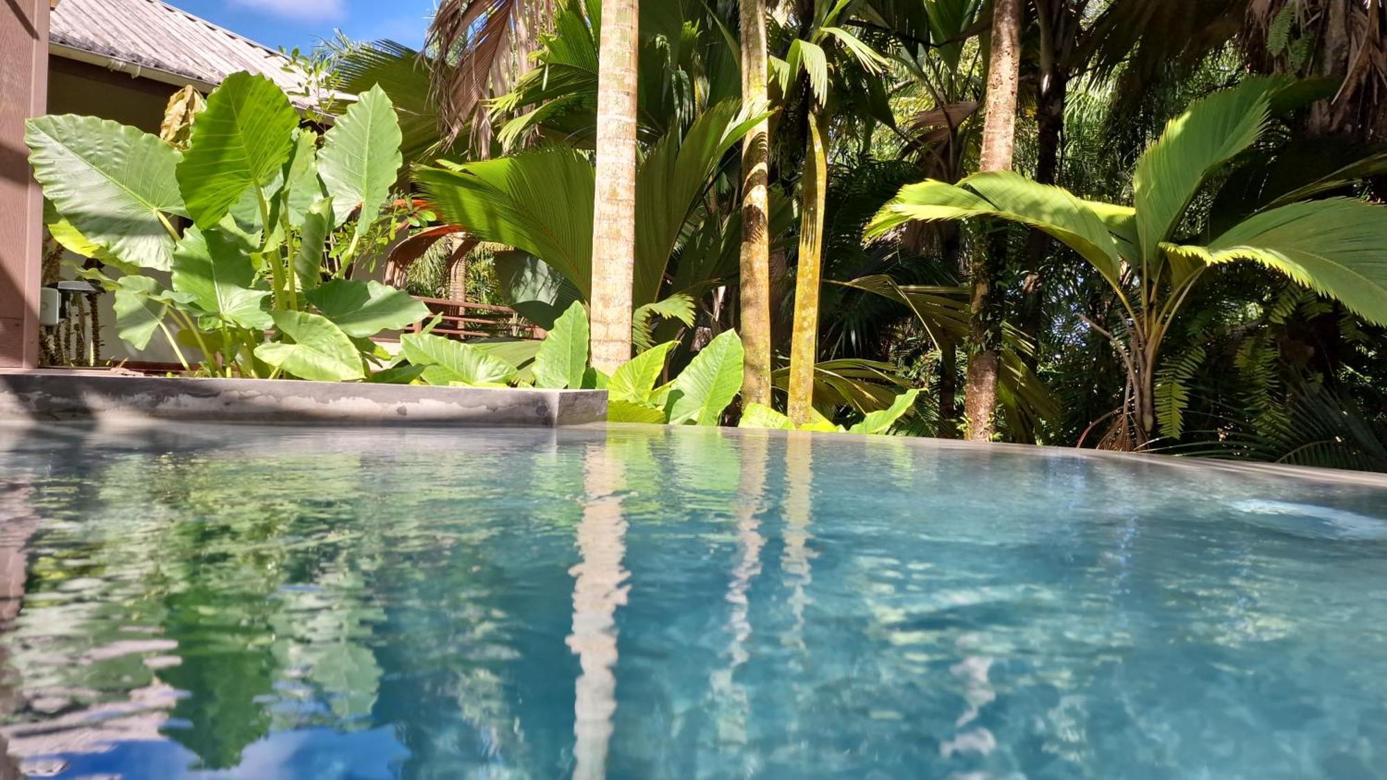 A Peace In Paradise Anse Royale Buitenkant foto